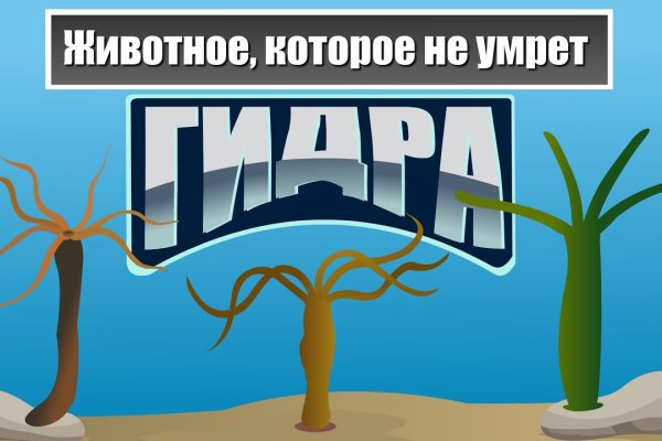 Правила модераторов кракен площадка