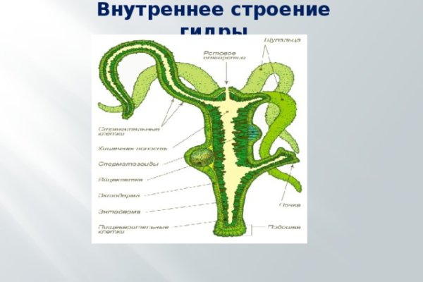 Как зайти на кракен тор